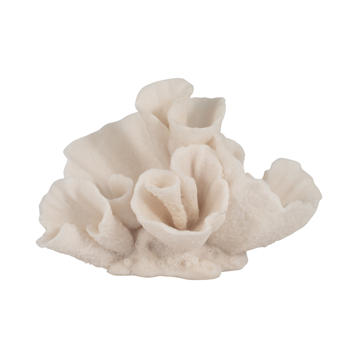 Brainard Ivory Coral Object