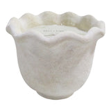 Atwood White Wild Fig and Cassis Scallop Candle