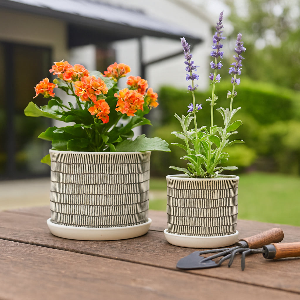 Gridley Beige Ceramic Planters with Saucer (Set of 2) - 14807-03