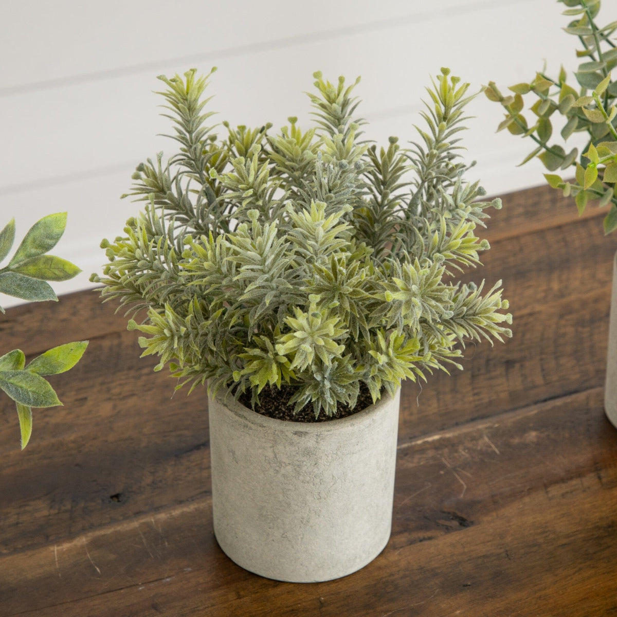 8” Artificial Mini Eucalyptus Potted Plants - Set of 3