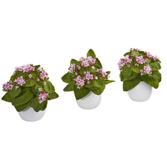 8” Kalanchoe Artificial Plant in White Vase (Set of 3) - Ornate Home