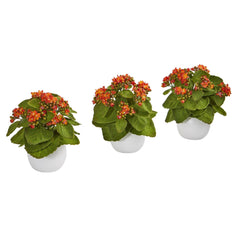 8” Kalanchoe Artificial Plant in White Vase (Set of 3) - Ornate Home