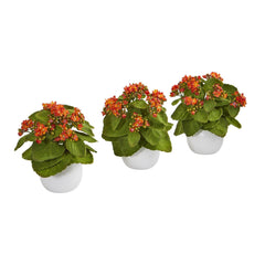 8” Kalanchoe Artificial Plant in White Vase (Set of 3) - Ornate Home