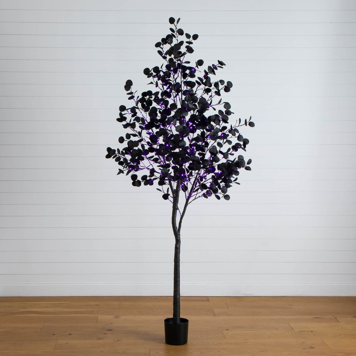 8' Pre-Lit Artificial Halloween Black Eucalyptus Tree with 540 Orange & Purple LED Lights