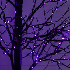 8' Pre-Lit Halloween Black Twig Artificial Tree with 510 Orange & Purple LED Lights - Ornate Home