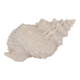 Grantville Tan Resin Sand Cong Shell