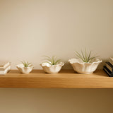 Dales Ivory Petal Bowls (Set of 3)