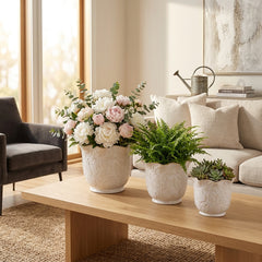 Claybrook Ivory/White Wildflower Ruffle Edge Planters (Set of 3)