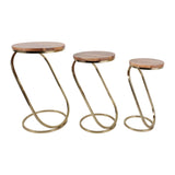 Bentonham Brown/Gold Plant Stands (Set of 3)