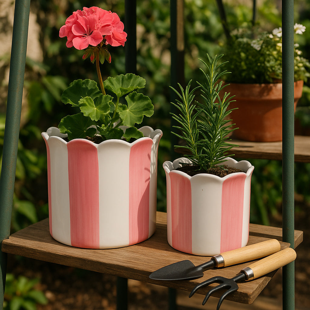 Rafeshaw Pink/White Planters (Set of 2)