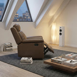 Nest Brown Reclining Chair