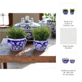 Henleydale Blue/White Small Planters (Set of 2)