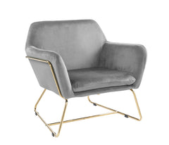 Keira Gray 29.5"W Velvet Accent Chair