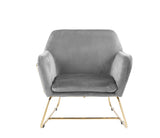 Keira Gray 29.5"W Velvet Accent Chair