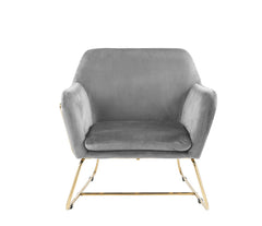 Keira Gray 29.5"W Velvet Accent Chair