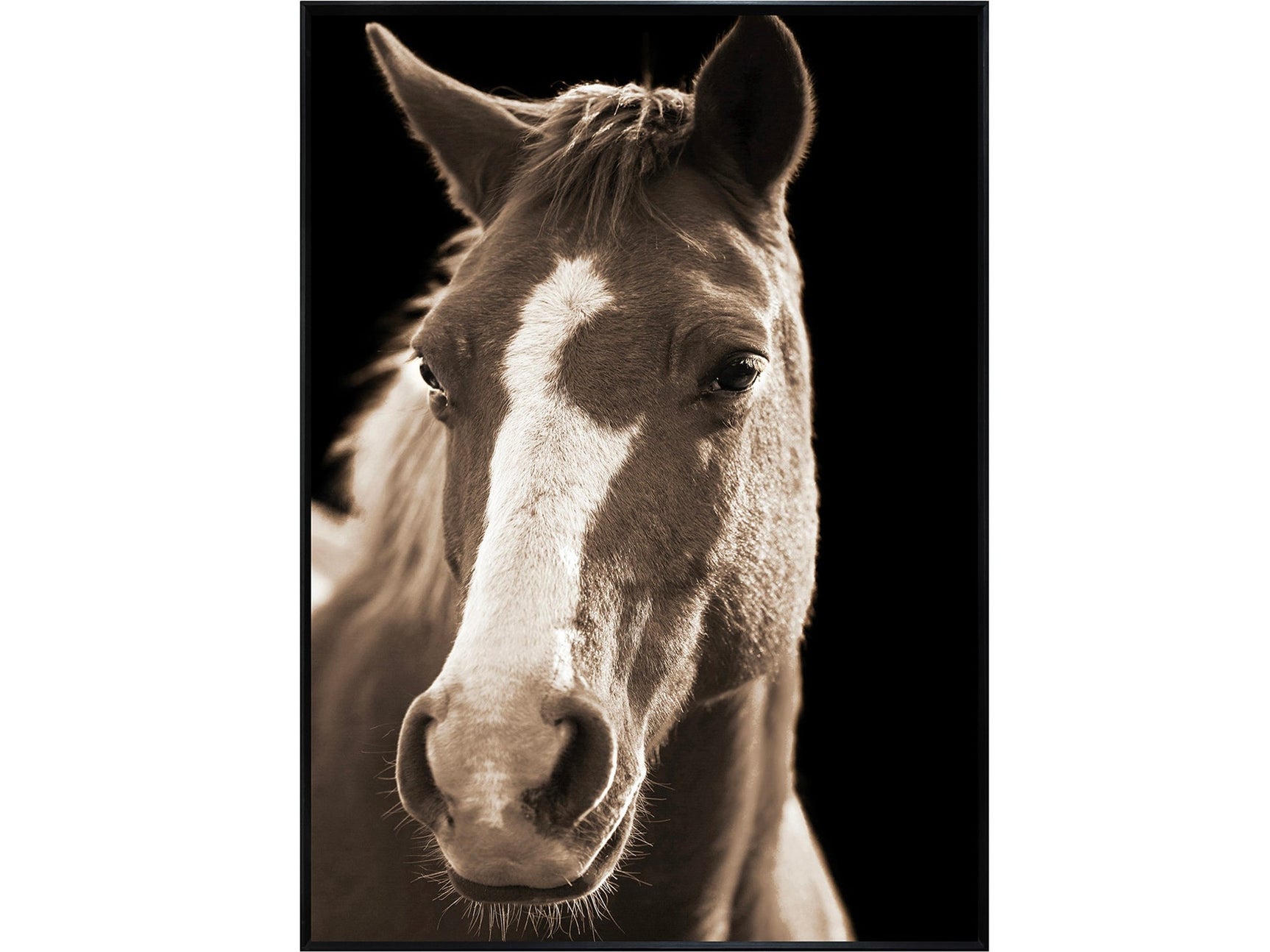 Fayette 2 Brown/Black Print