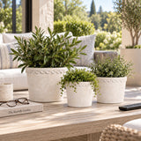 Tateside White Planters (Set of 3)