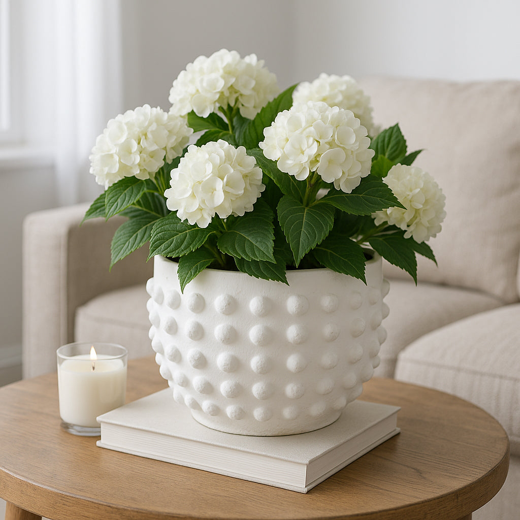 Junelake White Planter