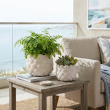 Harkencrest White Planters (Set of 2)