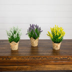 Multi-Color Set 2
