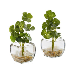 9” Clover Artificial Plant in Glass Planter (Set of 2) - Ornate Home