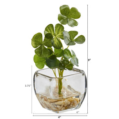 9” Clover Artificial Plant in Glass Planter (Set of 2) - Ornate Home