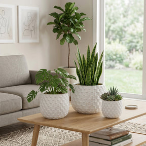 Fredericks White Textured Planters (Set of 3)