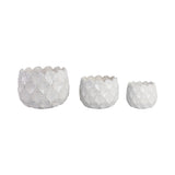Hazenshaw White Planters (Set of 3)