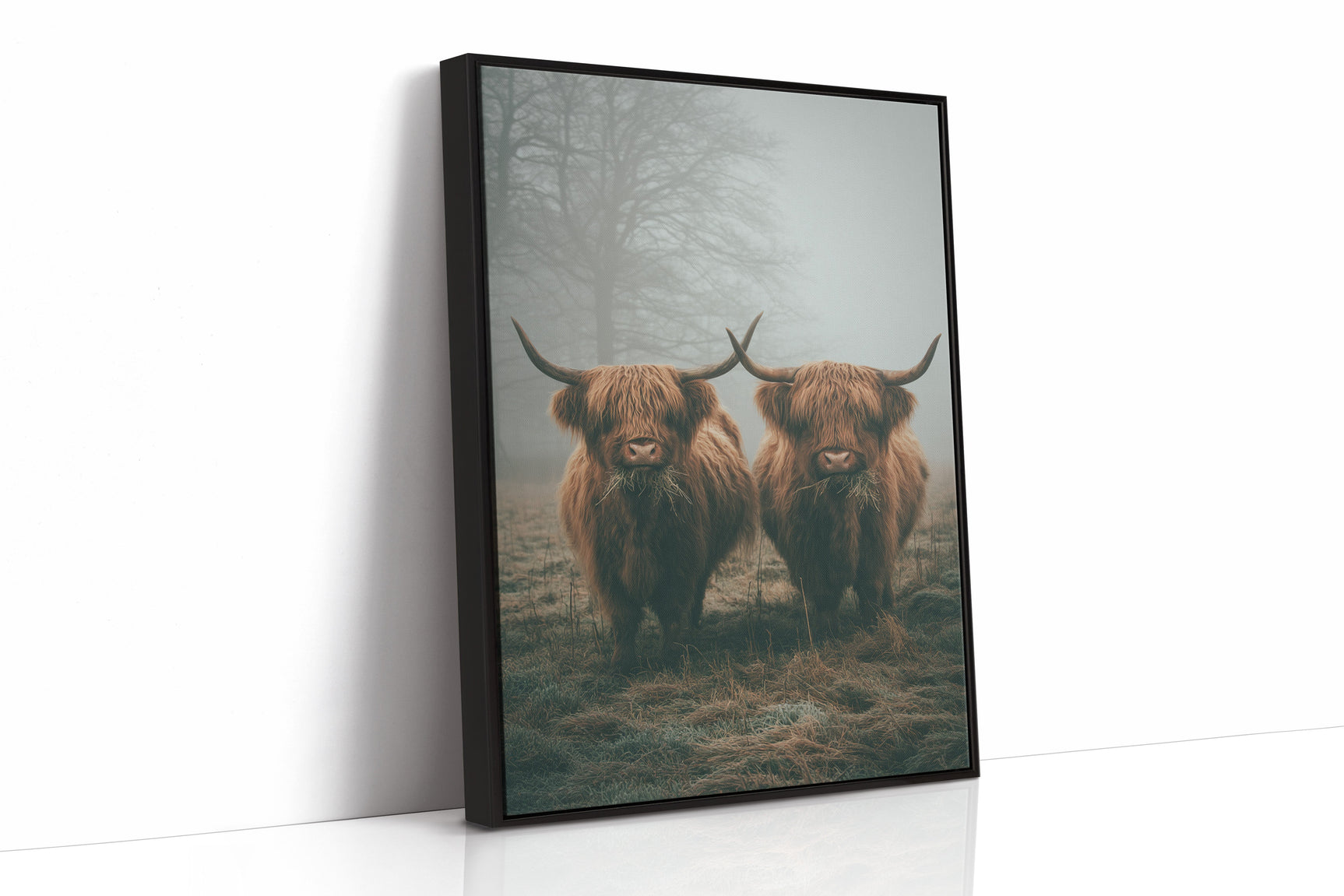 Gentle Giants Beneath Misty Skies