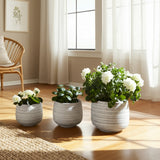 Raymondhaven White Ribbed Planters (Set of 3)
