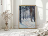 A Path Through Winter's Embrace