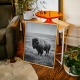 Ancient Presence