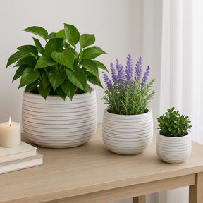 Raymondhaven White Ribbed Planters (Set of 3)