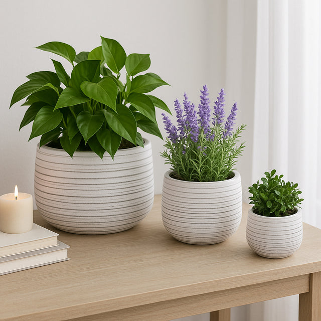 Raymondhaven White Ribbed Planters (Set of 3)