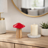 Cedar Stock Red Wood Toadstool Mushroom