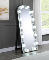 Noralie Mirrored/Faux Diamonds Floor Mirror