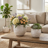 Draperstone Ivory Planters (Set of 2)
