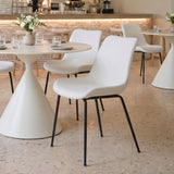 Byron White Dining Chair (Set of 2)