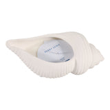Orcutt White Sea Salt Shell Candle