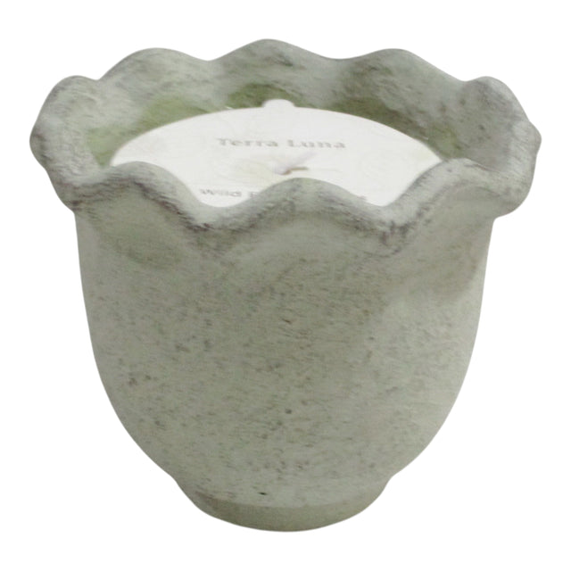 Atwood Sage Green Wild Fig and Cassis Scallop Candle