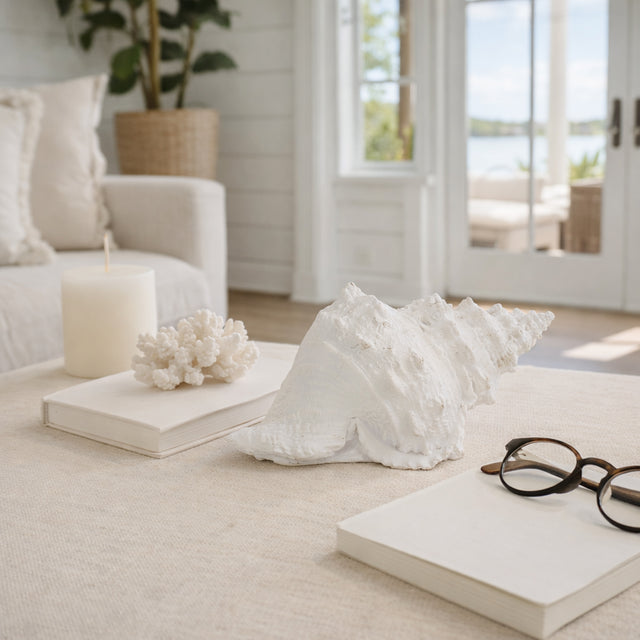 San Anselmo White Conch Shell