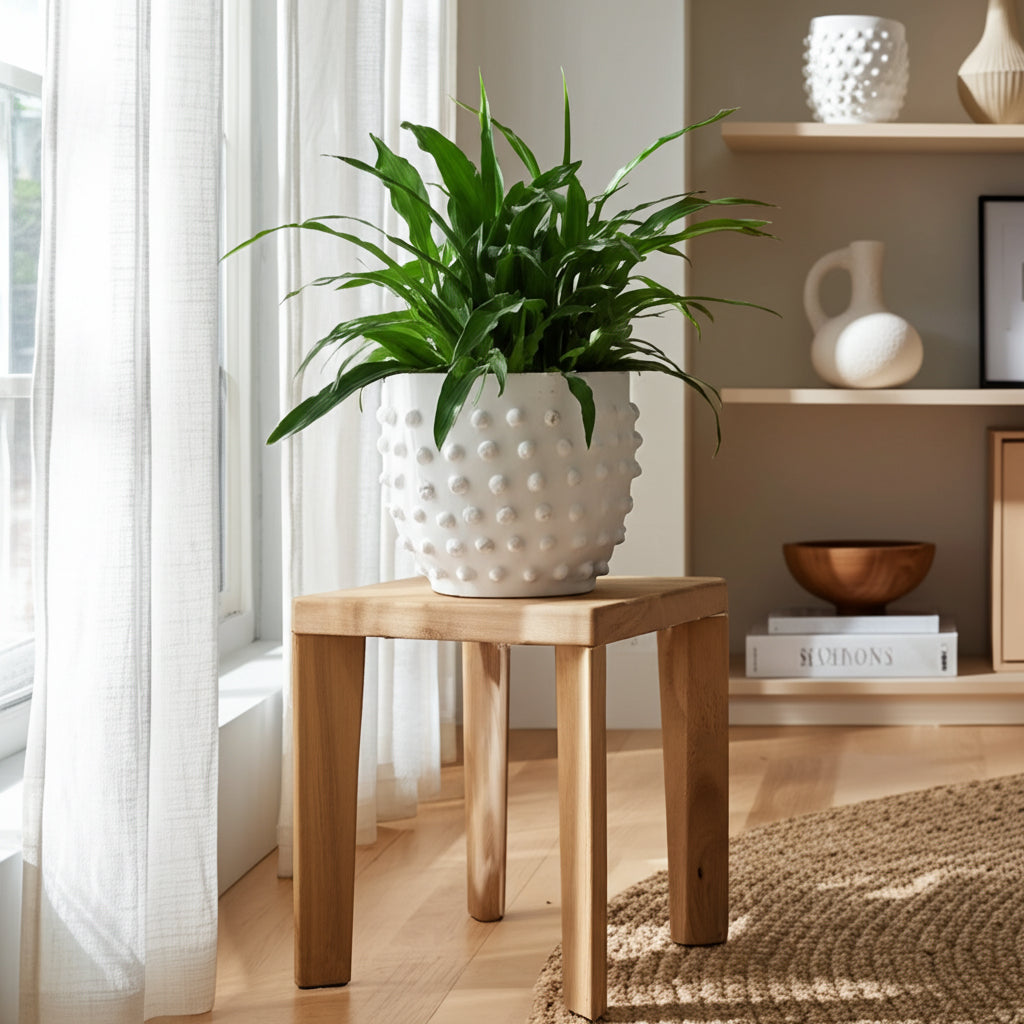 Junelake White Planter