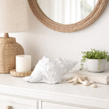 San Anselmo White Conch Shell