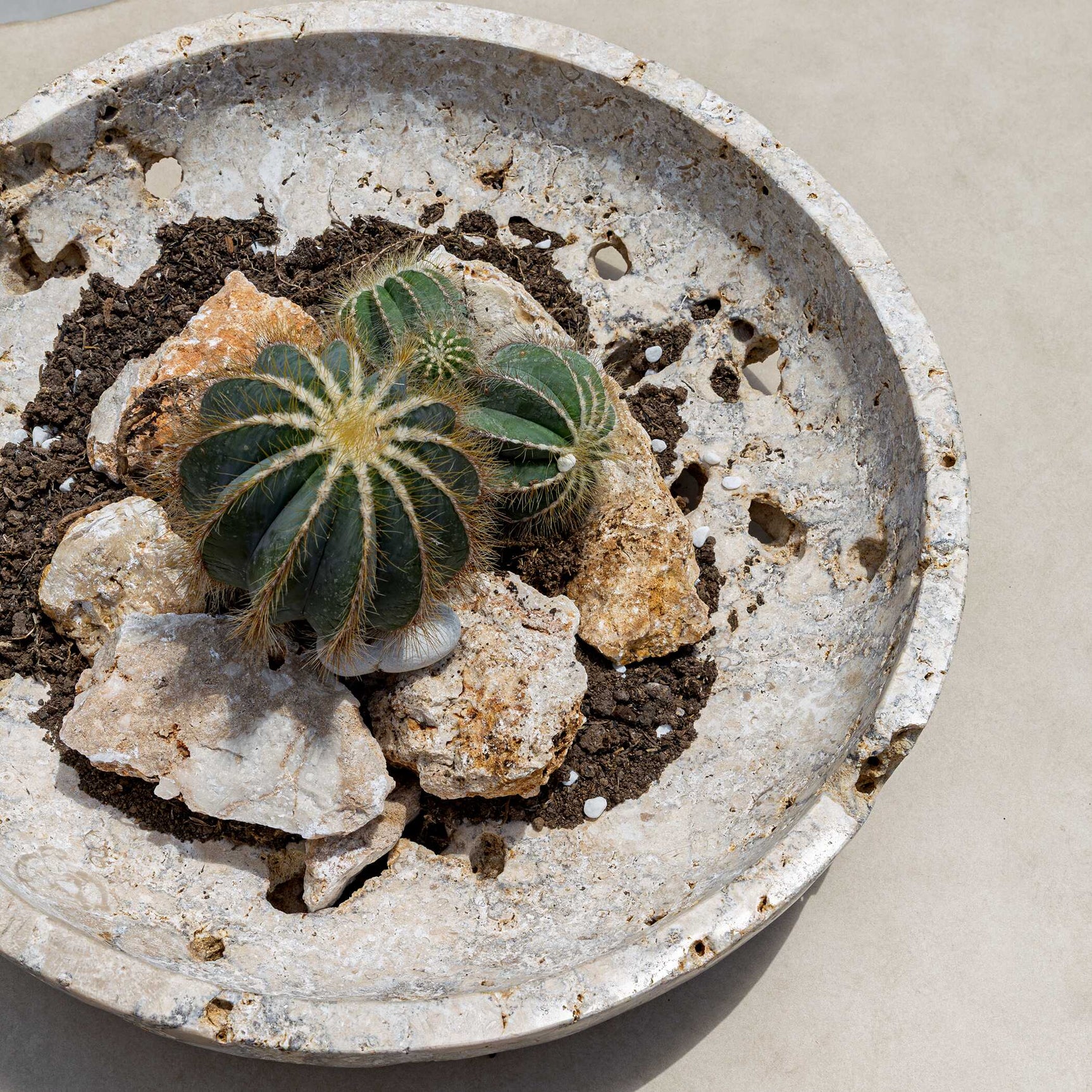Quarried Stone Brown Indoor-Outdoor Bowl