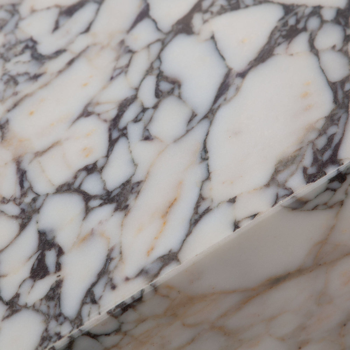 Ark Viola Marble Coffee Table - Ornate Home