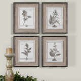 Casual Grey Study Multicolor Framed Art (Set of 4)