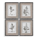 Casual Grey Study Multicolor Framed Art (Set of 4)