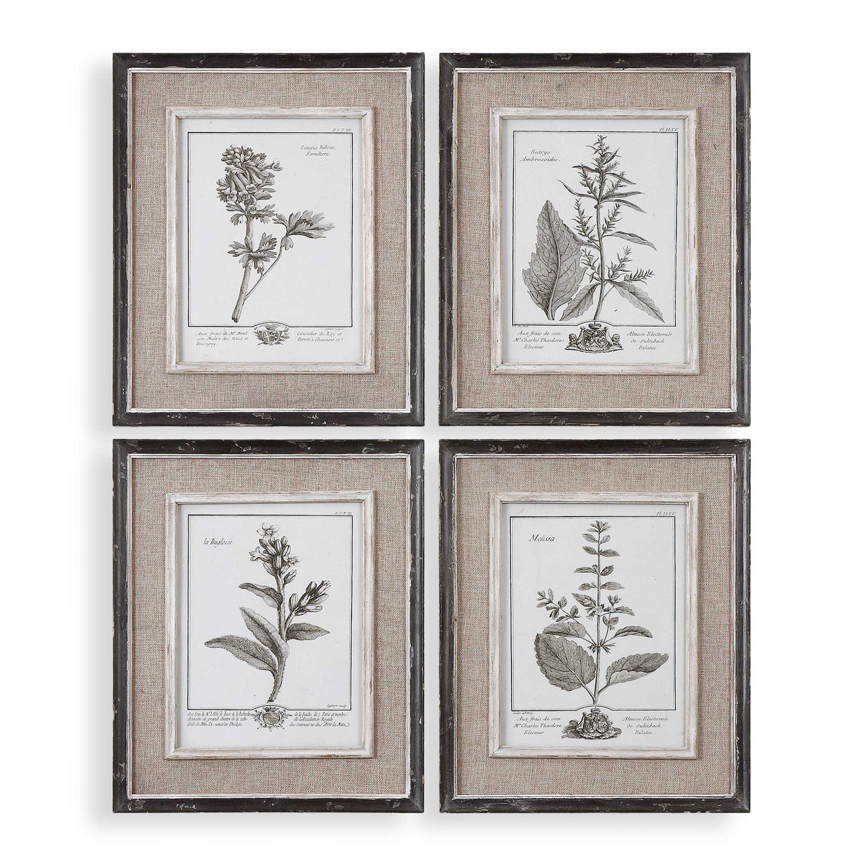 Casual Grey Study Multicolor Framed Art (Set of 4)