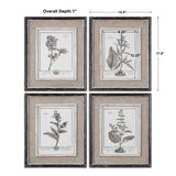 Casual Grey Study Multicolor Framed Art (Set of 4)