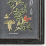 Midnight Botanicals Multicolor Wall Art (Set of 2)